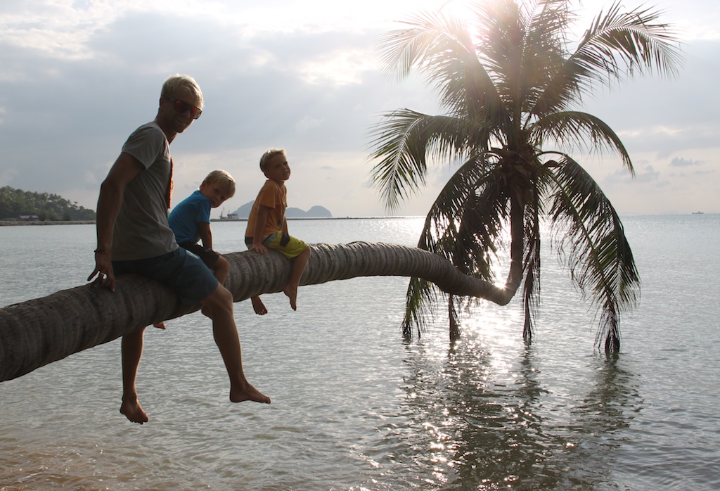 Rasmus, Alene og Oskar på meget skrå palme ud over vandet på Koh Phangan
