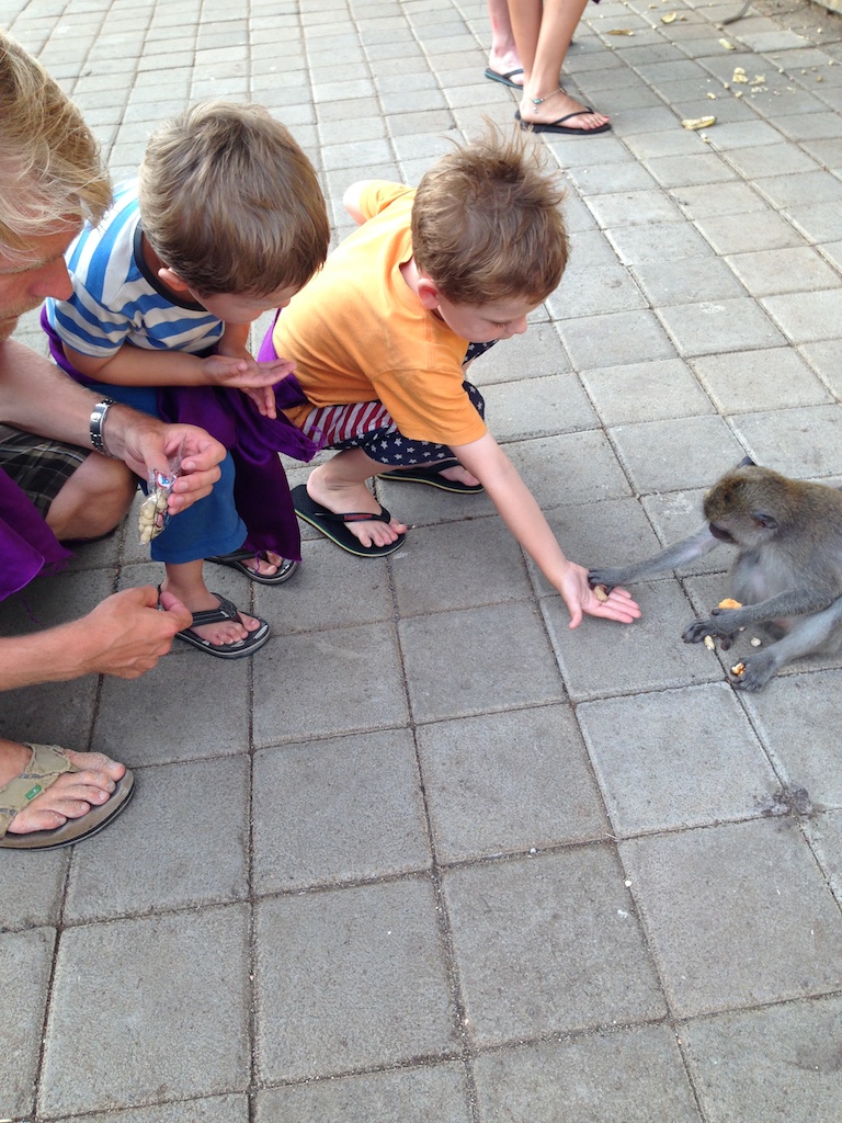 Oskar, Alfred og Rasmus fodrer abe ved Uluwatu