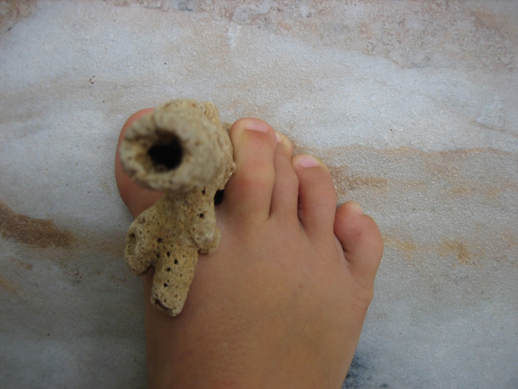 Oskars fod med koralstykke